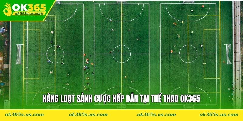 Hàng loạt sảnh cược hấp dẫn tại thể thao OK365